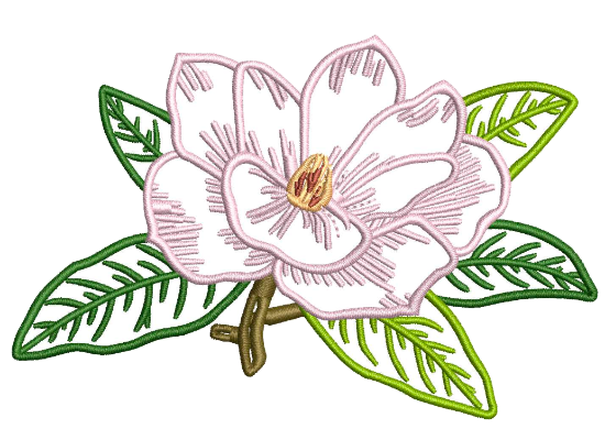 Magnolia